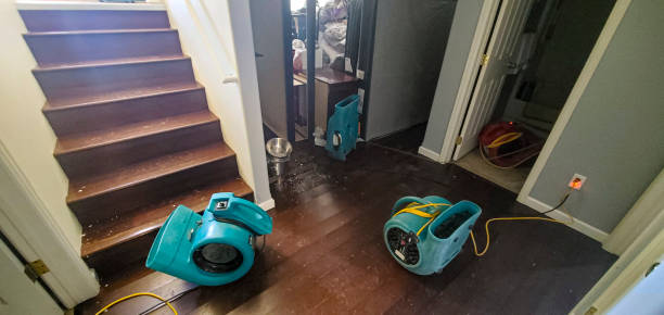 Best Mold removal after water damage  in Troy, OH