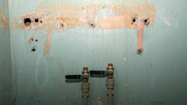 Best Emergency water damage restoration  in Troy, OH